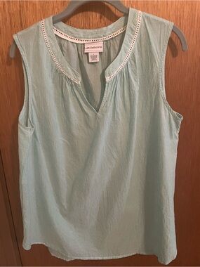 Women’s size Large mint green striped top